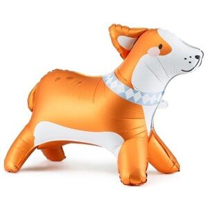 Fóliový balón stojaci pes Corgi 88x70 cm