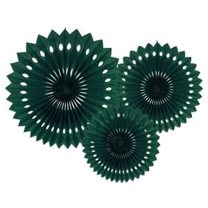 Rozety tmavozelené, 20-30 cm, 3 ks