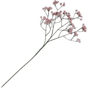 Gypsophila ružová 15x10x60 cm